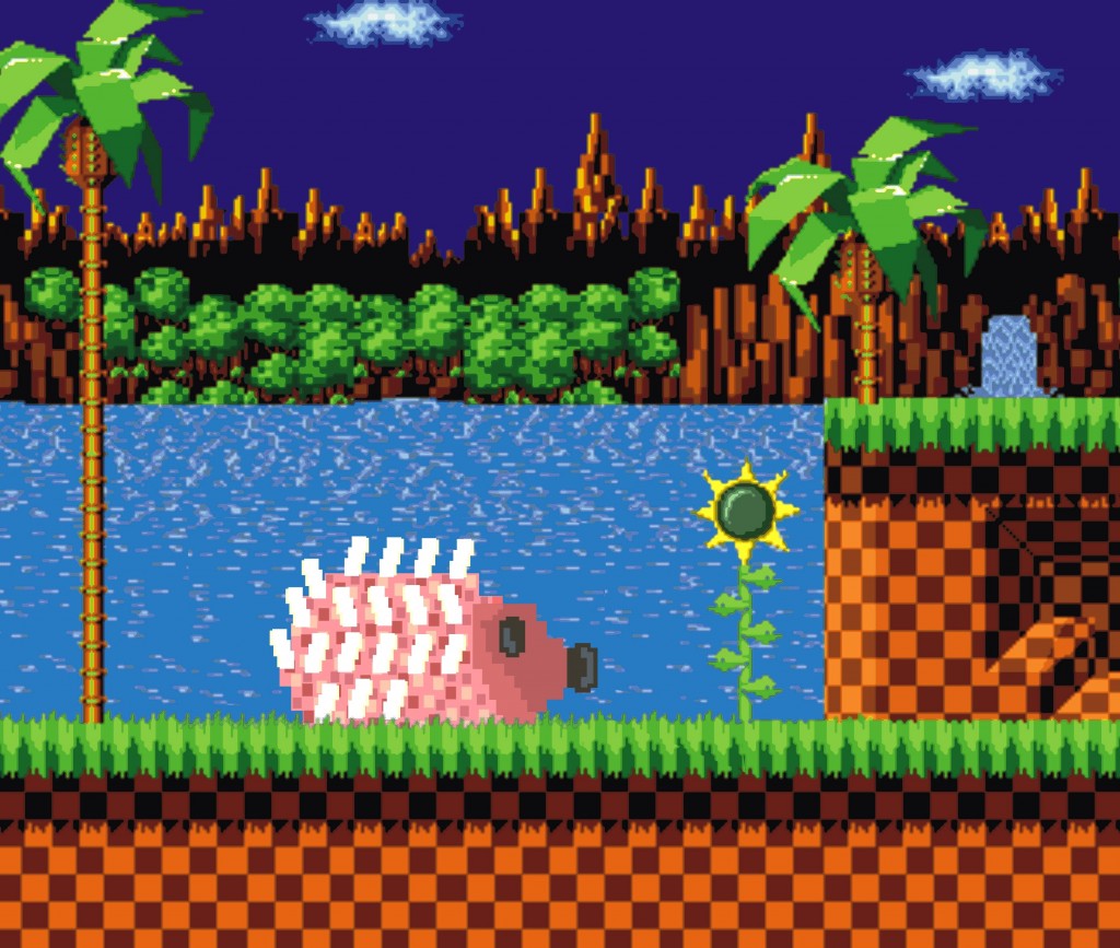 Game - Sonic the Metthog Green Hill Zone