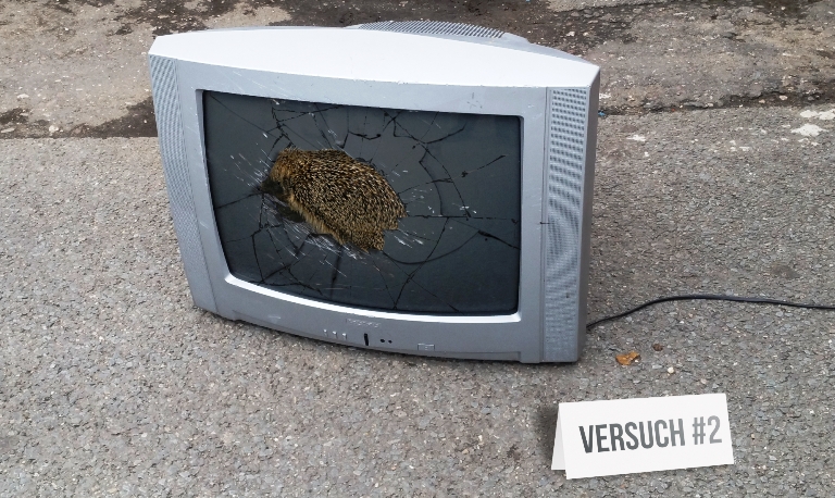 Realitätscheck - Sonic TV 3